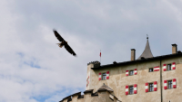 Burg Hohenwerfen