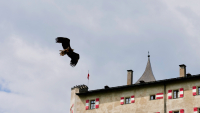 Burg Hohenwerfen