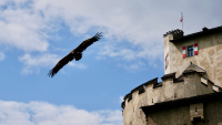 Burg Hohenwerfen