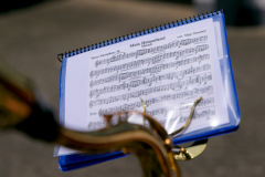 Kreismusikfest-Pautzfeld-am-09.06.2024-19-von-228